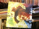 John Denver John Denver's Greatest Hits Vinyl LP