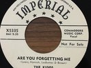 THE KIDDS Are You Forgetting Me/Drunk, Drunk, Drunk IMPERIAL X5335 PROMO DOO WOP