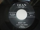 Hot NJ teen group rocker 45 The Cameos Wait up Dean 504 VG++ LISTEN