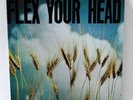 Various Flex Your Head Dischord Minor Threat Henry Rollins Iron Cross Wheat DCHC