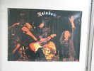 RAINBOW 1970s Polydor Promo Poster Japan RARE Ritchie Blackmore