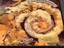 Reel To Reel Tape   A Question of Balance the Moody Blues  THS M 24003 7 1/2 IPS