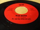 D.J. & THE SPICE OF LIFE - BLUE MOON  Hawaii Hawaiian 45 rpm 1980