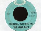 THE STING RAYS I'm Gonna Surprise You on Saturn Garage Mod Dancer 45 Hear