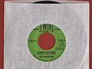 1966 THE JAGGED EDGE Garage Rock 45 TWIRL Midnight To Six Man / How Many Times