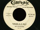 '55 Doo Wop 45 SYCAMORES Darling Is It True? / I'll Be Waiting GROOVE Promo