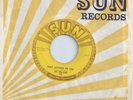 JIM WILLIAMS rockabilly PLEASE DONT CRY OVER ME 45 HEAR sun 270