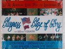 BLUEGRASS BLAZE OF GLORY: American Legion Private Pennsylvania Vinyl LP HEAR