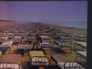 * PINK FLOYD * A Momentary Lapse Of Reason * Lp *