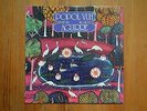 Popol Vuh ?– Aguirre - made in Italy 1975 - Label PDU - LP: SQ6040