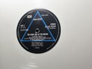 WHITE  ? '73 LP POSTERS & STICKERS 