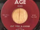RICKY ALLEN   Cut You A-Loose / Faith   AGE blues r&b soul 45