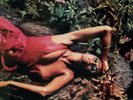 ROXY MUSIC Stranded 2017 half-speed remastered 180g vinyl LP NEW/SEALED