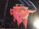 Black Sabbath Paranoid Vinyl Record LP Gatefold WB BSK 3104 1970 Ozzy VG