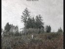 Damien Jurado - Saint Bartlett Vinyl LP Secretly C NEW