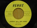 Royals 45 Someday We'll Meet Again / I Want You...   Venus VG++ doo wop Detroit