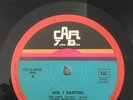 I SANTONI-NOI LP ORIGINALE CAR JUKE BOX - SOLO VINILE
