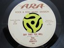 60's GARAGE ROCK 45-Phil And The Frantics-Say That You Will-Ara HEAR