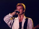 STING ? 31 CONCERT PHOTOS from the late 1980s ? LIVE IN GERMANY ? all close-ups