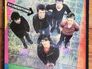 The Undertones - Self-Titled Debut Punk Rock-New Wave Vinyl LP-Feargal Sharkey