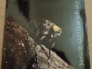 The Cure - The Walk 1983 German 12 inch vinyl single