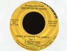 THE SOUND OF VISION What So Never the Dance on House Guess Funk 45 Hear