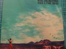 Noel Gallagher's High Flying Birds Who Built The Moon picture disc