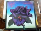 Thin Lizzy BLACK ROSE UK LP 1ST VERTIGO SPACESHIP