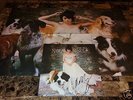 Norah Jones Rare Hand Signed The Fall Limited Edition Vinyl LP Record Poster COA