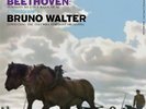 Beethoven/Bruno Walter Conducting - Symphony No. 6 2LP VINYL LP AAPC077-45