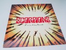 Scorpions ?– Face The Heat -  lp -