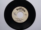 Lou Johnson You Better Let Him Go / Wouldn't That Be Something BIG TOP VG++ DEMO