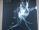 SIGUR ROS - ROUTE ONE LP VINYL Record Store Day RSD LIMITED EDITION 2018