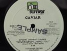 CAVIAR Never Stop Loving You SURVIVOR 12