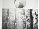 The Cure A Forest Rare Original 12