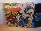 THE BEACH BOYS WILD HONEY 1968 LP MINT BEAT KNALLER ULTRA RAR
