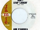 ANN D'ANDREA 'DON'T STOP LOOKIN'/MISTER GOOD TIME FRIDAY' 45