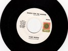 TYLER MUDGE - Search For The Answer moody psych fuzz MA 1971 (Onyx) *HEAR