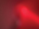 MEAT WAVE THE INCESSANT [LP] * NEW VINYL