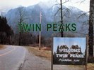 Soundtrack LP 129 - Music from TWIN PEAKS - ANGELO BADALAMENTI - D 1990 - EX(+)
