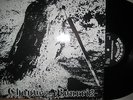 NEU 12