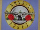 GUNS N ROSES WELCOME TO THE JUNGLE 12