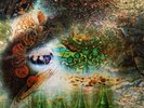Pink Floyd A SAUCERFUL OF SECRETS (EU) 2nd Album 180g REMASTERED New Vinyl LP