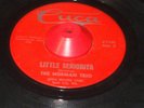 THE NORMAN TRIO Cathy Where are You 45 RECORD PRIVATE RURAL ND FOLK COUNTRY CUCA