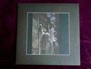 DEAD CAN DANCE +++ WITHIN THE REALM OF A DYING SUN 4AD Vinyl180 RI +++ NM