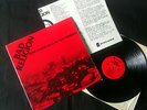 Bad Religion - How Could Hell Be Any Worse?  LP USA 1982 VG-/VG+       Punk