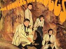 TROGGS 