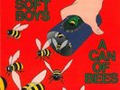 Soft Boys The-A Can Of Bees  VINYL NEW