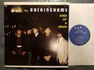 60's Rock LP THE BUCKINGHAMS Kind Of A Drag U.S.A. (USA, 1967)
