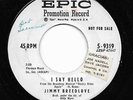 Popcorn 45 JIMMY BREEDLOVE I Say Hello/All Is Forgiven Epic WLP HEAR Rare
